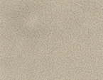 F681