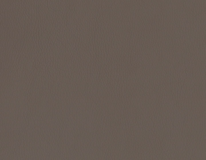 V004