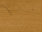 MD07